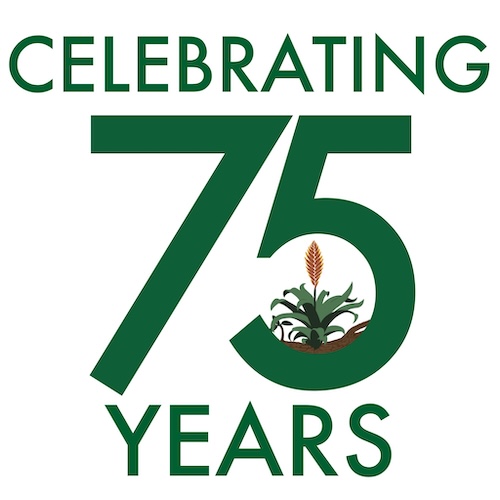 75years